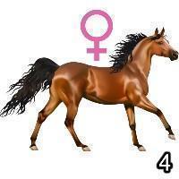 A horse and a female gender symbol, with a 4 in the bottom right